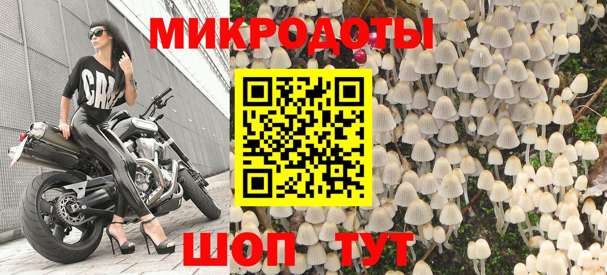 Псилоцибиновые грибы GOLDEN TEACHER Острогожск