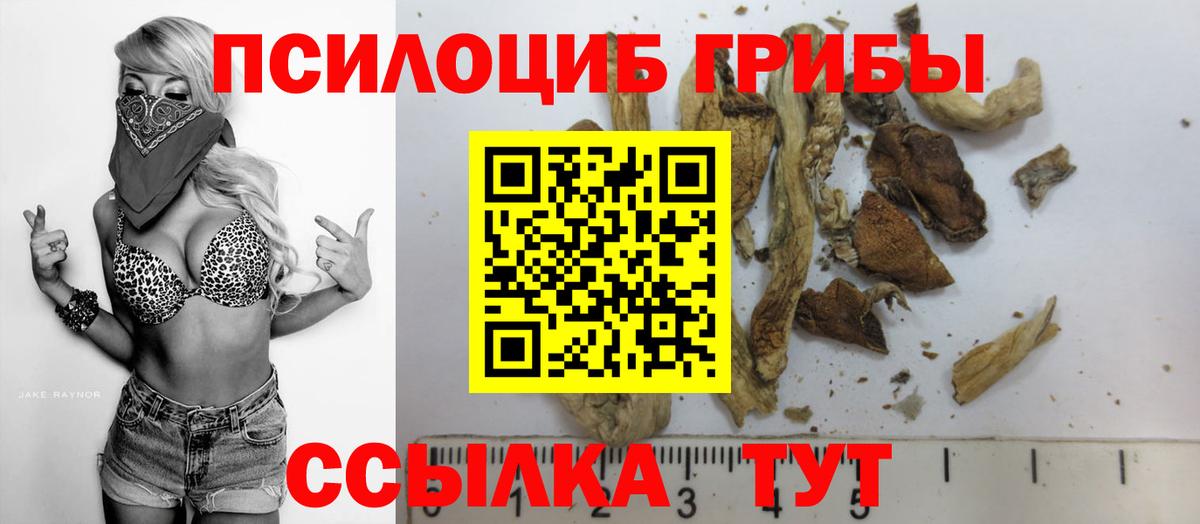 Острогожск  Псилоцибиновые грибы Psilocybine cubensis  Вход с VPN 