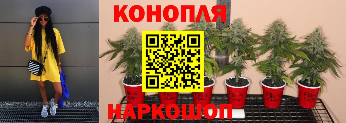 Канабис сатива  Шишки марихуана индика  Вход с VPN  Марихуана конопля  Острогожск 